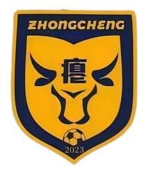 忠诚村足球队